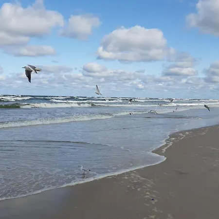 Zachodni アパート